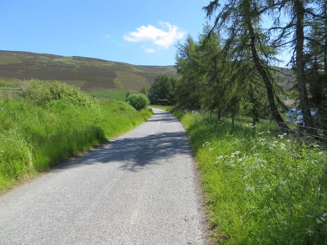 Creigh Hill