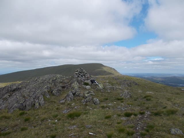 Tarfessock