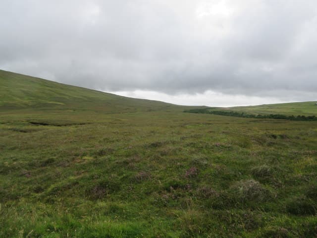 Faan Hill