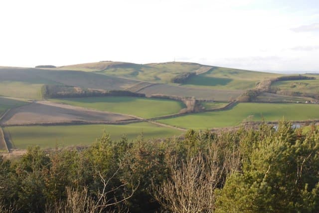 Linton Hill