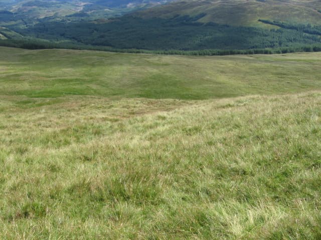 Beinn Uird