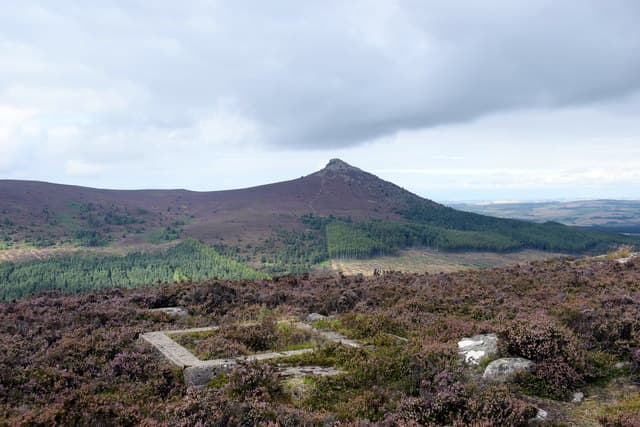 Millstone Hill