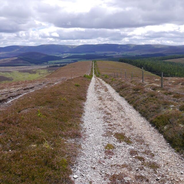 Carn Daimh