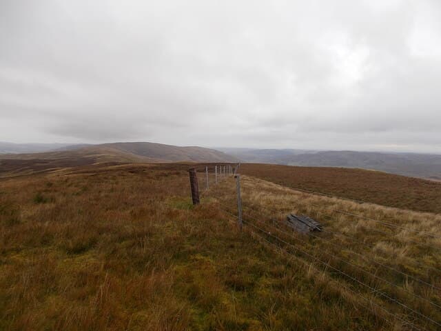 Turner Cleuch Law
