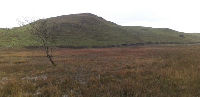 White Hill