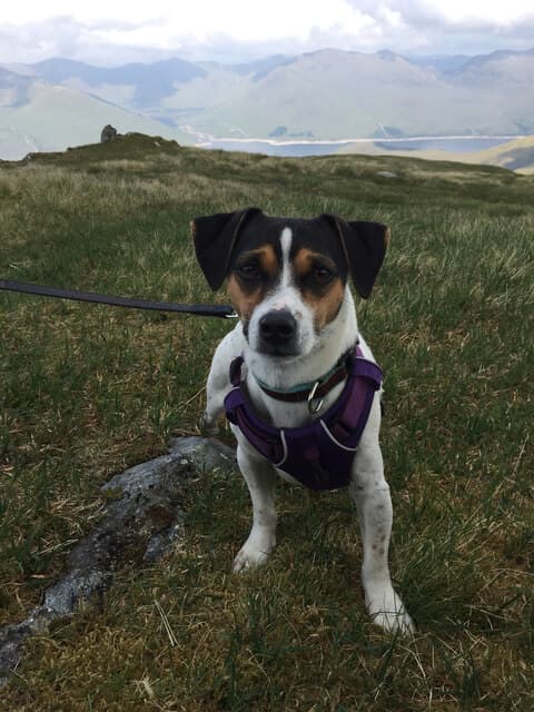 Sgurr an Fhuarain