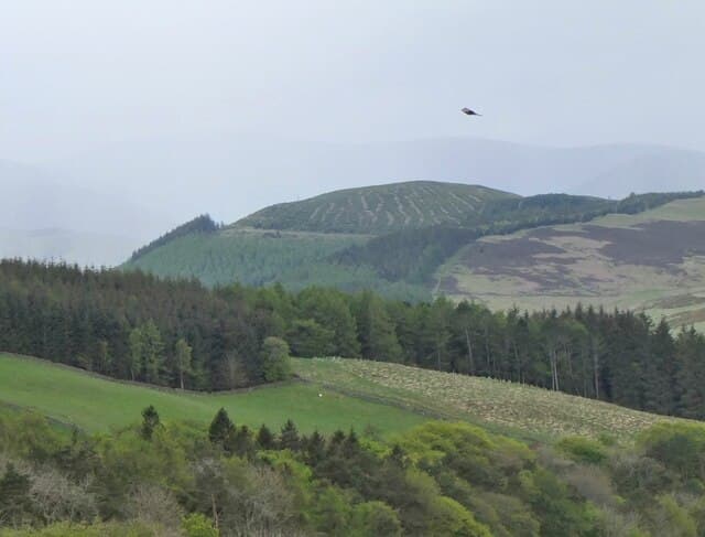 Cademuir Hill