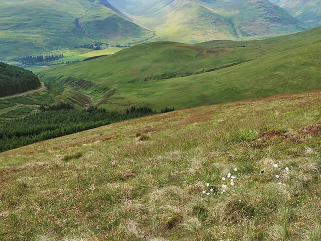 Capel Fell