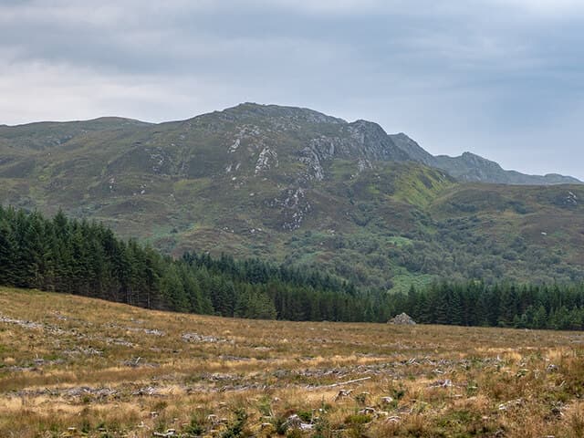 Cruach Lusach
