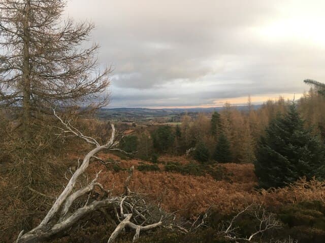 Newtyle Hill