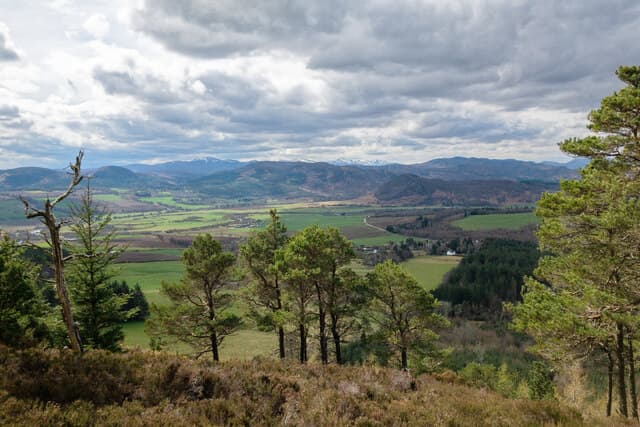 Cnoc Mor