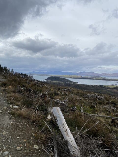 Airds Hill
