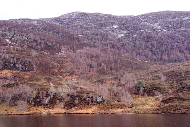Glen Strathfarrar