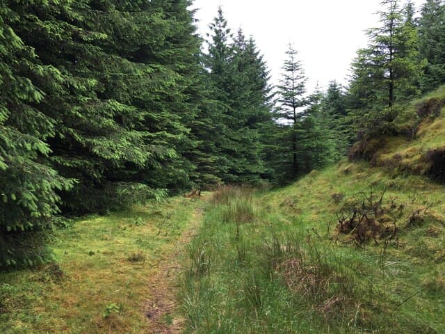Cruach nam Fearna