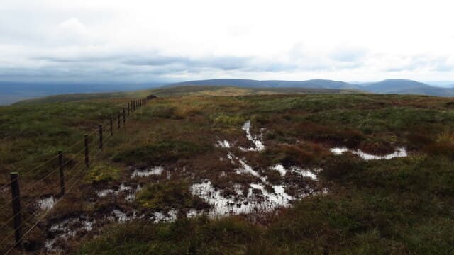 Cauldcleuch Head