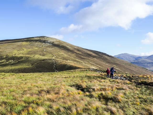 Meall a' Bhuachaille