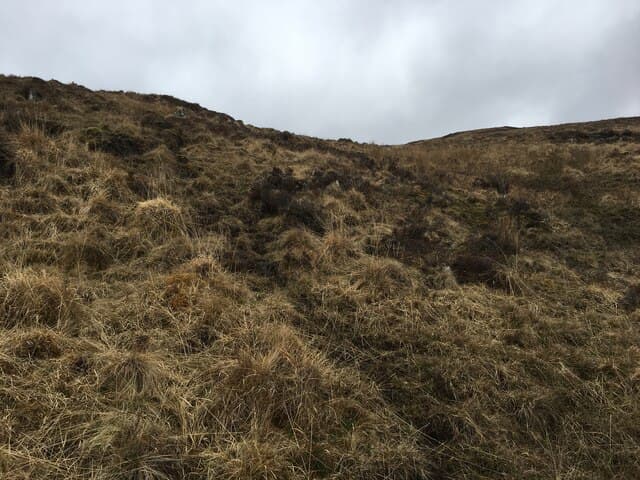 Meall Chomraidh