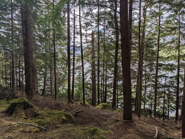 Loch Laggan