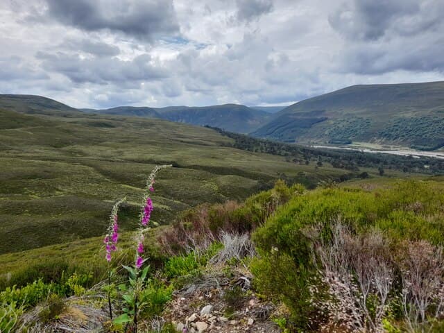 Glen Tilt