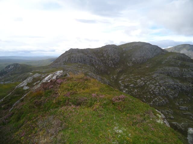 Meallan Liath