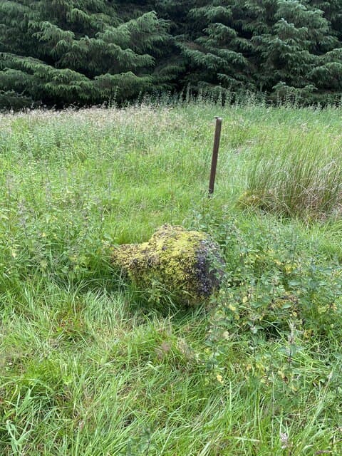 Grange Fell