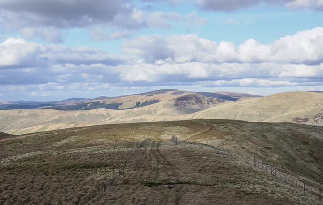 Whitehope Heights