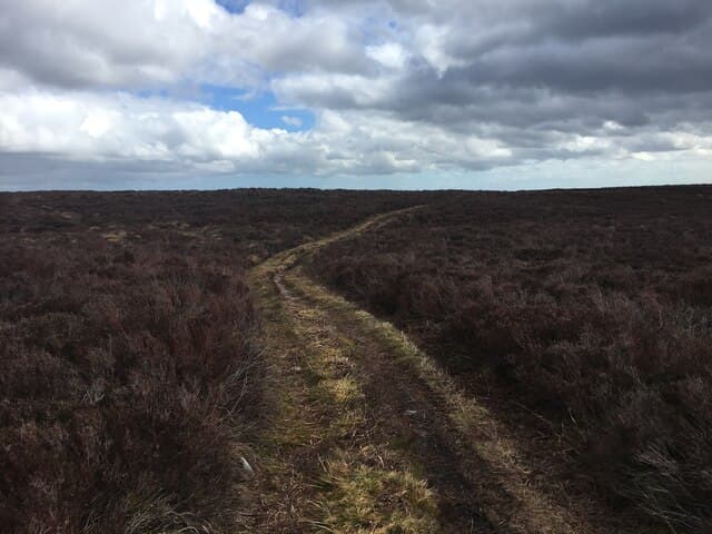 Hill of Fare
