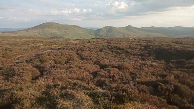 Black Hill