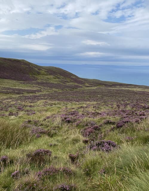 Cnoc Moy