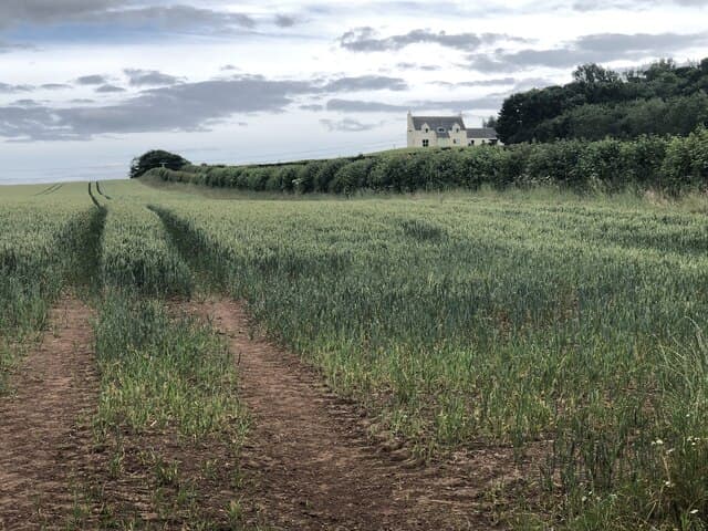 Belhaven Bay