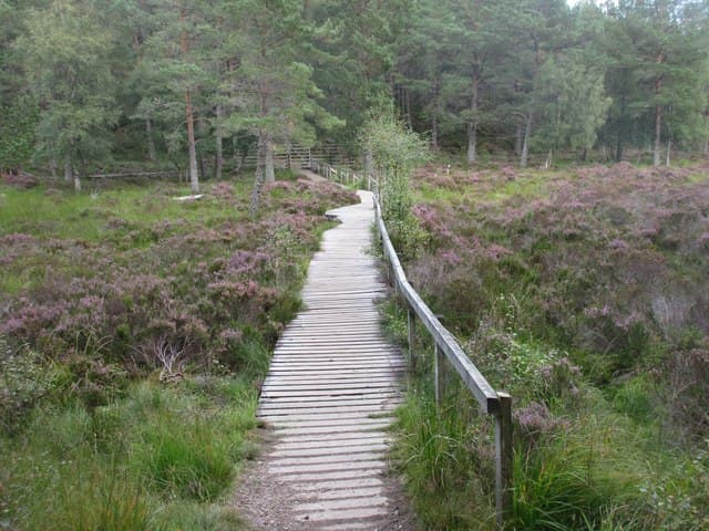 Linn of Dee