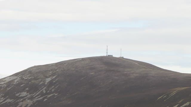 Morrone