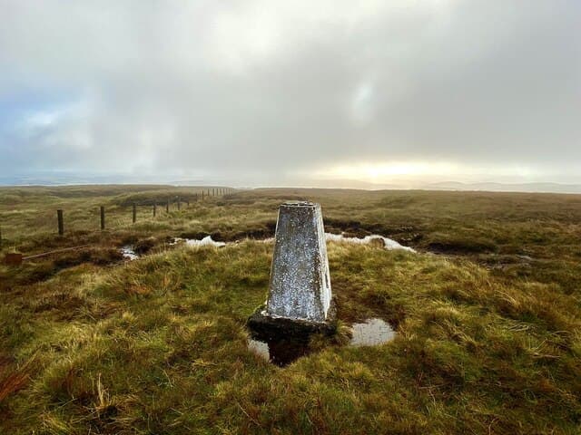 Windlestraw Law