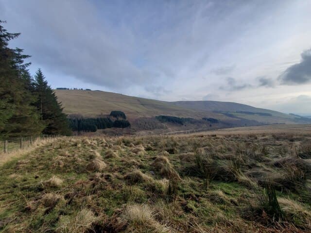 Blackwood Hill