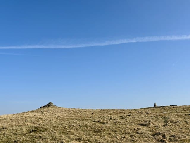 White Meldon
