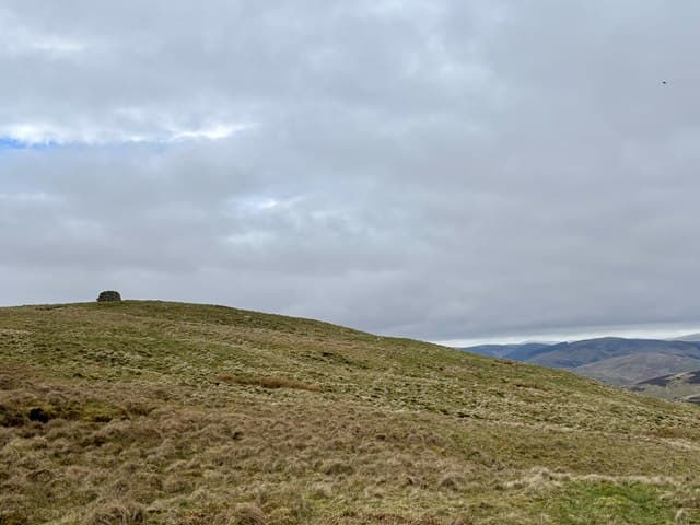 Mountbenger Law