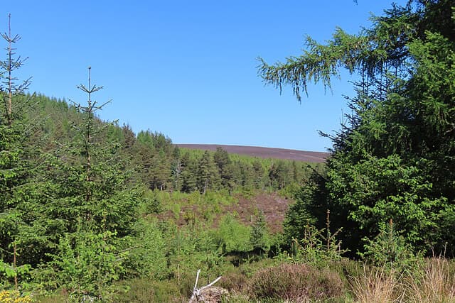 Speyside Way
