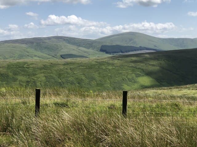 Wisp Hill