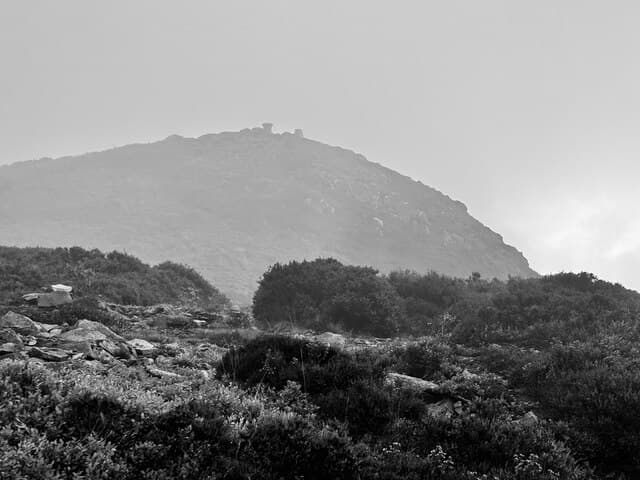 Eildon Mid Hill