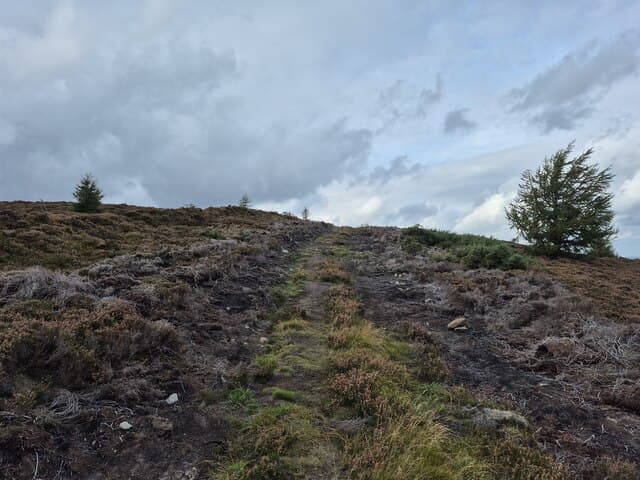 Fourman Hill