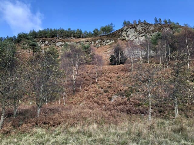 Deuchary Hill