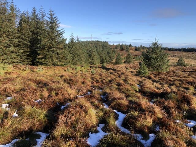 Fanna Hill