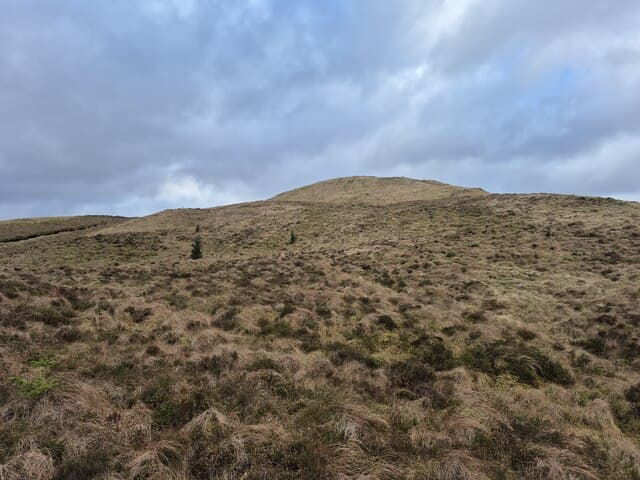 Cruach na Seilcheig