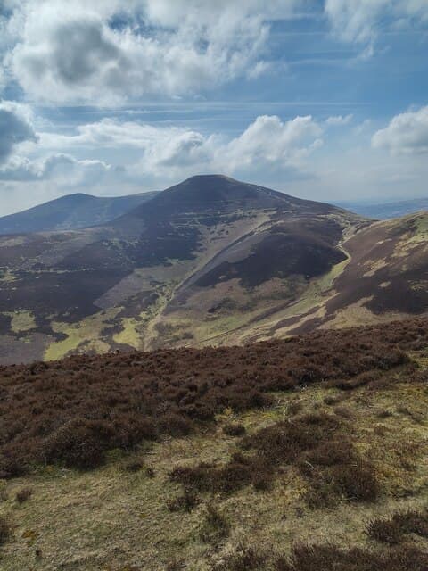 Scald Law