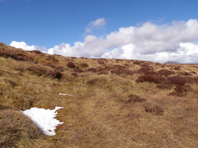 Cnoc na Maoile