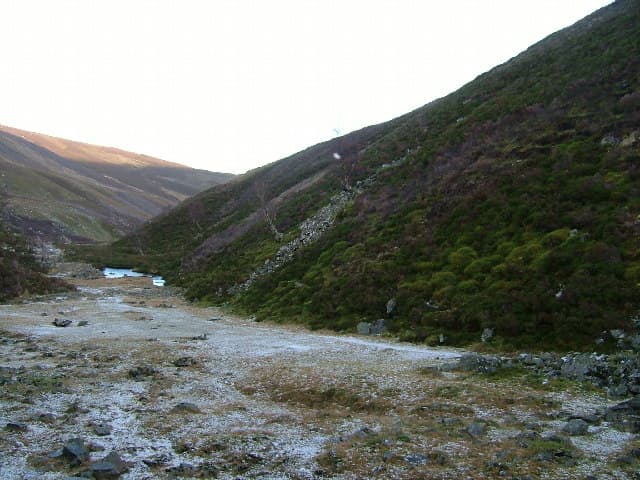 Glen Lui