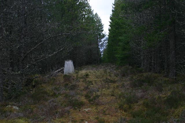 Hill of the Wangie