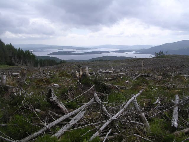 Loch Lomond — Rowardennan