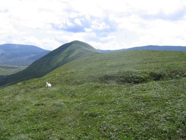 Shee of Ardtalnaig (Ciste Buide a' Claidheimh)
