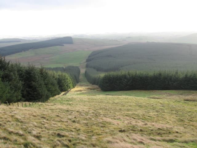 Innerdouny Hill